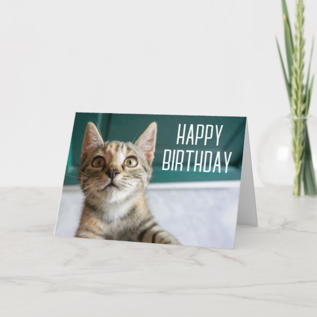Tarjeta Cumpleaños | Gatita Cuta Tabby (Anverso)