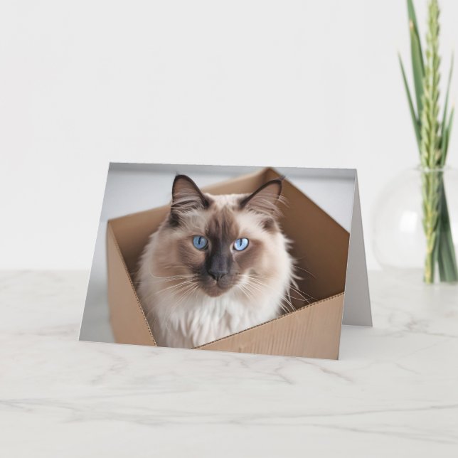 Tarjeta Cumpleaños Gato Ragdoll En Caja De Cartón (Anverso)