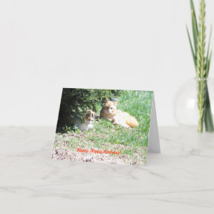Tarjeta Cumpleaños, gatos y pasteles relajantes