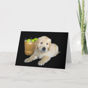 Tarjeta Cumpleaños Golden Retriever con manzanas
