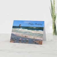 Cumpleaños, golondrinas de mar reales en la playa