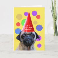 Cumpleaños gracioso 29 de nuevo con perro lindo