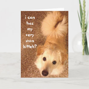 Tarjeta Cumpleaños gracioso, Cute dog desea un gato de cum