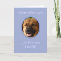 Cumpleaños gracioso de perro a dueño con amor