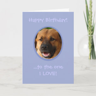 Tarjeta Cumpleaños gracioso de perro a dueño con amor