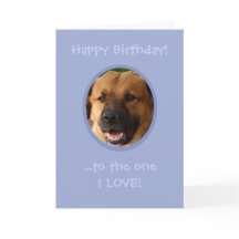 Cumpleaños gracioso de perro a dueño con amor