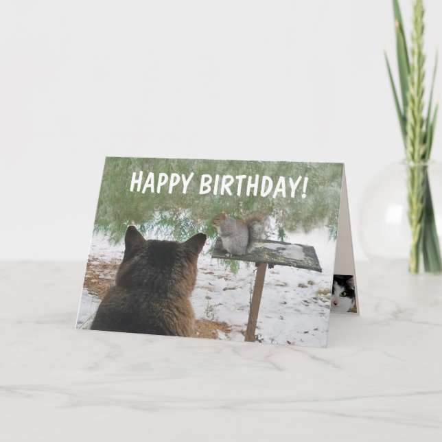 Tarjeta Cumpleaños Gracioso Del Gato Y La ardilla (Anverso)