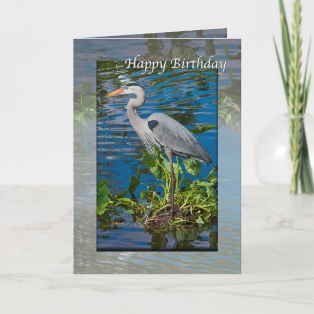 Tarjeta Cumpleaños, Gran Garza Azul en el Lago (Anverso)