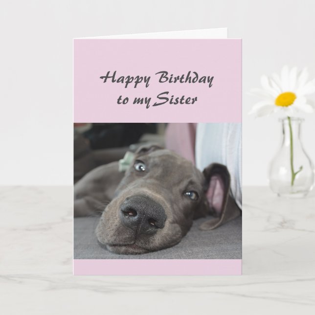 Tarjeta Cumpleaños Hermana Diversión Dog definición de Rel (Planta pequeña)