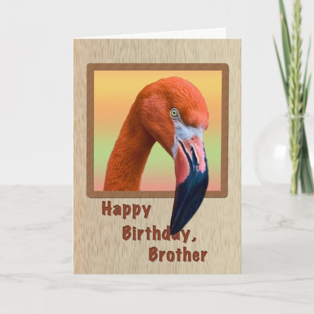 Tarjeta Cumpleaños, Hermano, Ave Flamingo (Anverso)