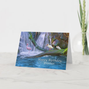 Tarjeta Cumpleaños, Hermano, Cascada Tropical, Aves