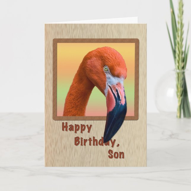 Tarjeta Cumpleaños, hijo, pájaro Flamingo (Anverso)