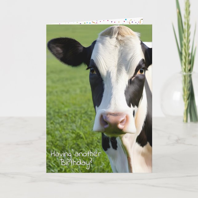 Tarjeta Cumpleaños Holstein Humor de vaca (Anverso)