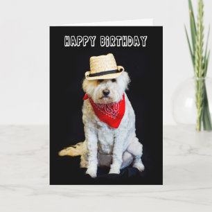 TARJETA CUMPLEAÑOS - HUMOR - PERRO/GORRA DE BOLSA Y SCARF