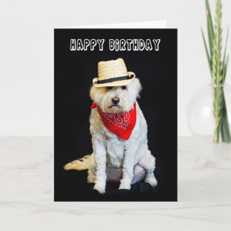 TARJETA CUMPLEAÑOS - HUMOR - PERRO/GORRA DE BOLSA Y SCARF