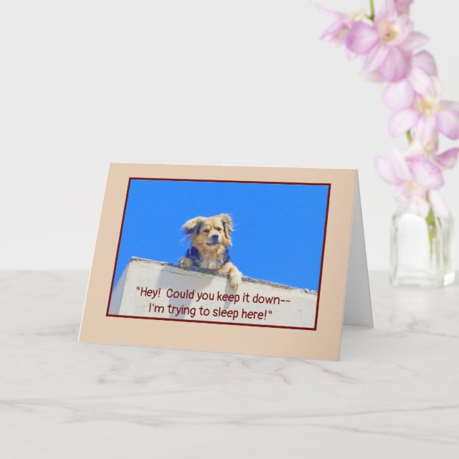 TARJETA CUMPLEAÑOS HUMOR/PERROS DORMIDOS MENTIRA (Orquídea)