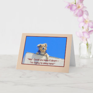 TARJETA CUMPLEAÑOS HUMOR/PERROS DORMIDOS MENTIRA