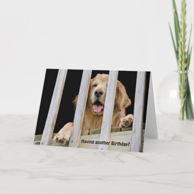 Tarjeta Cumpleaños humorística de Golden Retriever (Anverso)