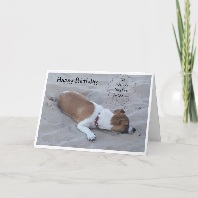Tarjeta cumpleaños humorístico de Jack Russell Dog (Anverso)