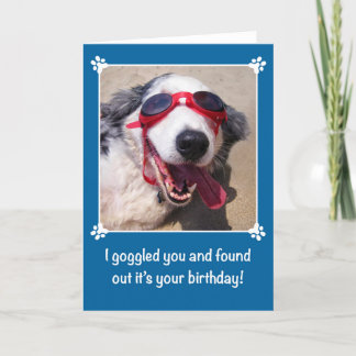 Tarjeta Cumpleaños - I Goggled usted - perro de pastor