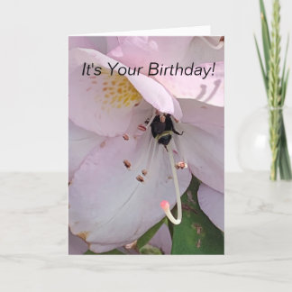 Tarjeta Cumpleaños inferior de Bee