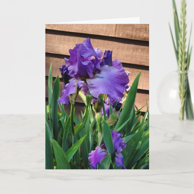 Tarjeta Cumpleaños | Iris morado (Anverso)