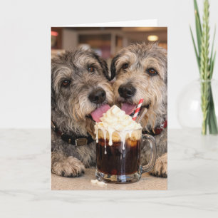 Tarjeta Cumpleaños Irish Wolfhounds lamiendo flotador de c