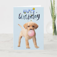 Cumpleaños Labrador Recuperador Cachorro Cachorro
