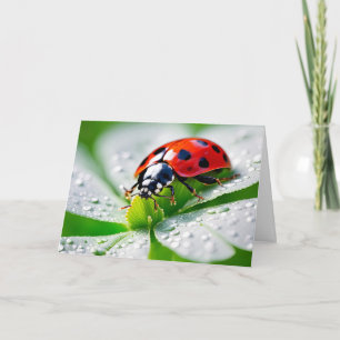 Tarjeta Cumpleaños Ladybug En 4 Leaf Clover