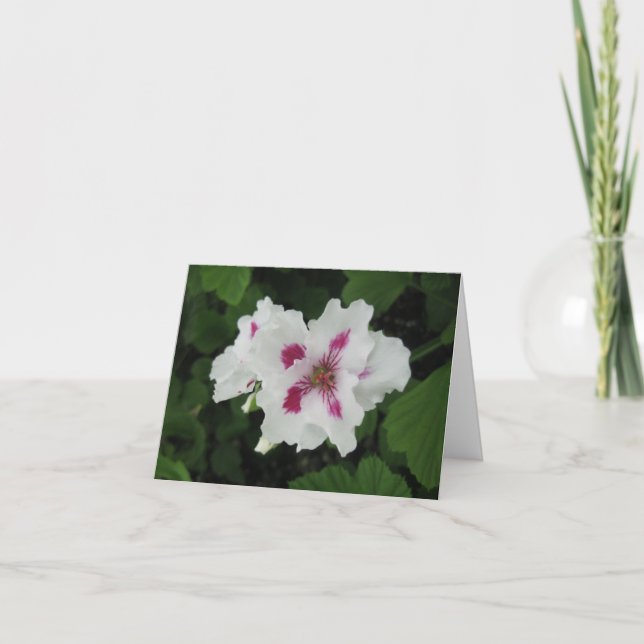 Tarjeta Cumpleaños - Magenta-pequeño (Anverso)