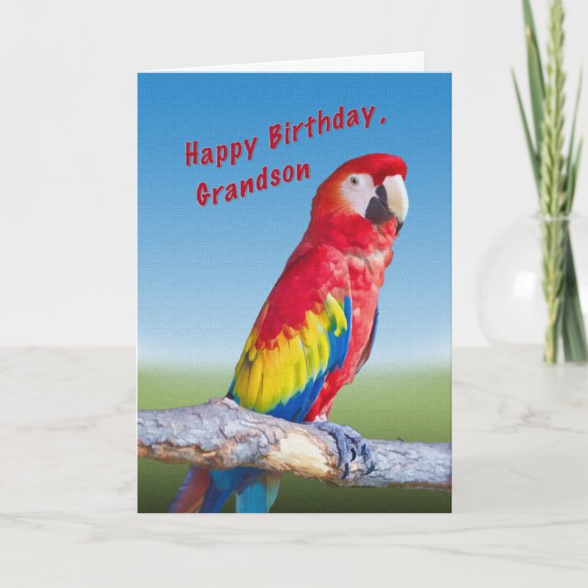 Tarjeta Cumpleaños, nieto, loro de Macaw (Anverso)