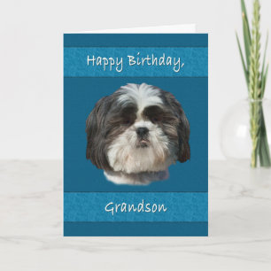 Tarjeta Cumpleaños, nieto, Perro Shih Tzu