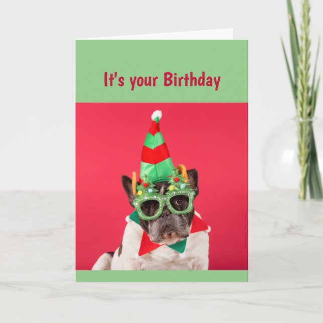 Tarjeta Cumpleaños No es joven para siempre perro gracioso (Anverso)