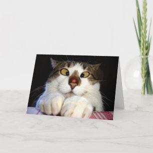 Tarjeta Cumpleaños observado cruzado del gato y de la