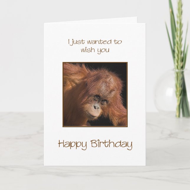 Tarjeta Cumpleaños, Orang Utan (Anverso)