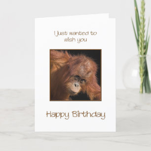 Tarjeta Cumpleaños, Orang Utan