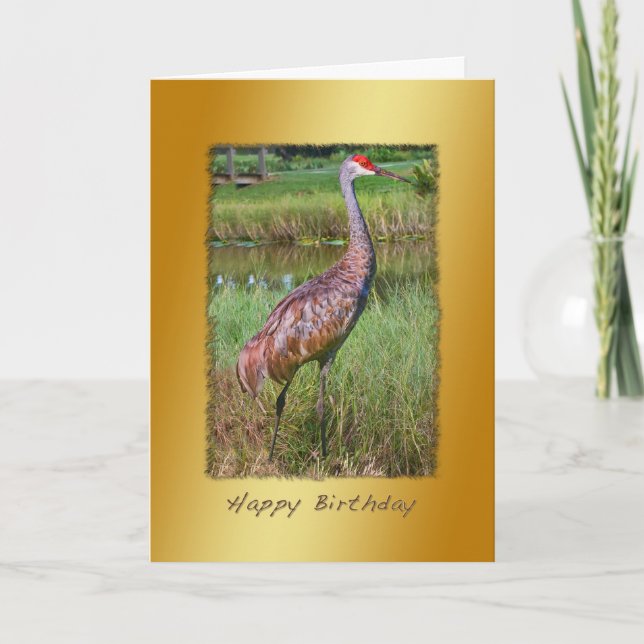 Tarjeta Cumpleaños, pájaro de la grúa de Sandhill (Anverso)