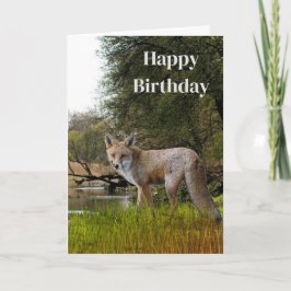 Tarjeta Cumpleaños para hombres Zorro Rojo Vida Silvestre 