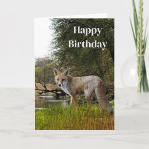 Tarjeta Cumpleaños para hombres Zorro Rojo Vida Silvestre 