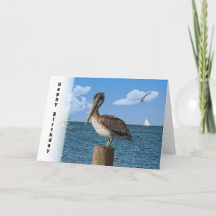 Tarjeta Cumpleaños, Pelícano Marrón con Marea