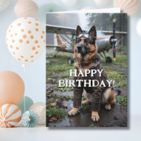 Cumpleaños Perro Pastor Alemán Piloto Avión Divert