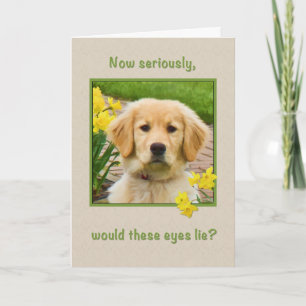 Tarjeta Cumpleaños, Perro recuperador de oro, Daffodils