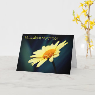 Tarjeta Cumpleaños polaco Sto Lat Daisy Flower