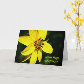 Tarjeta Cumpleaños polaco Sto Lat Sunflower