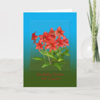 Cumpleaños, primo, lirios de día rojos