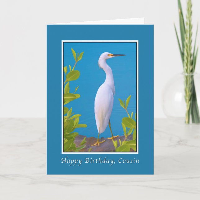 Tarjeta Cumpleaños, primo, pájaro del Egret nevado (Anverso)