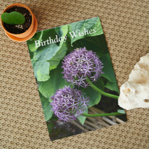 Tarjeta Cumpleaños Purple Allium Floral