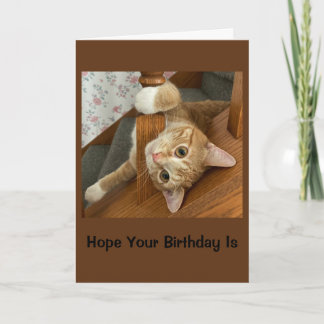 Tarjeta Cumpleaños Purr-fectamente Feliz
