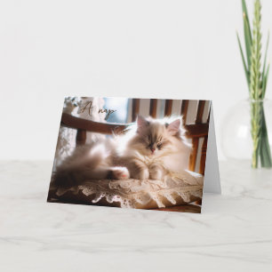 Tarjeta Cumpleaños Ragdoll Kitten On Pillow