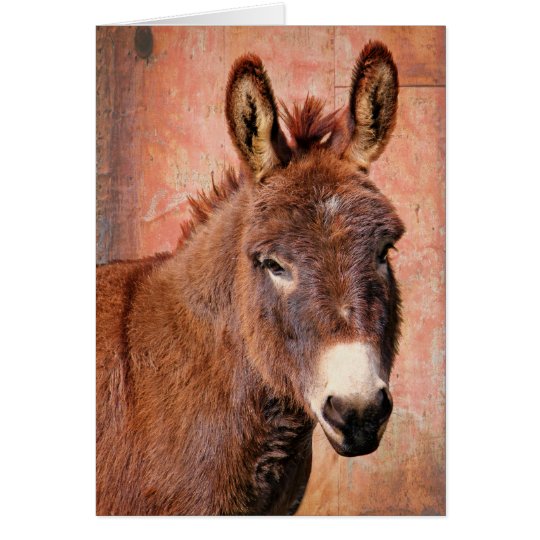 Tarjeta Cumpleaños rojo del saludo del burro del Burro